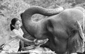 Elections in Sri Lanka
