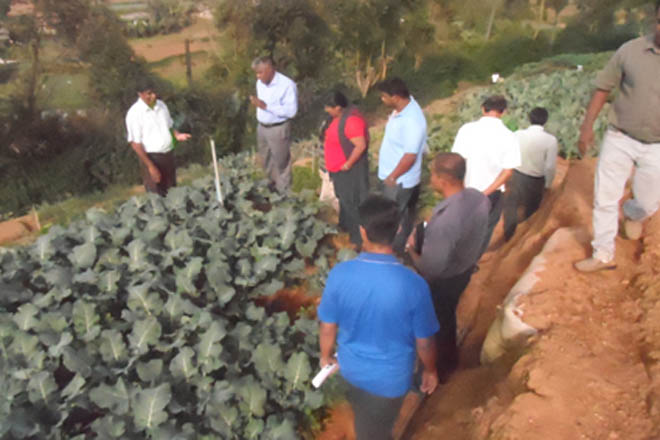 organic farming for export sri lanka