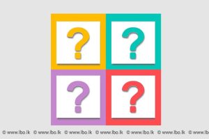Q&A-lbo