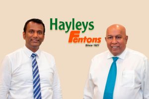 Hayleys-Fentons2